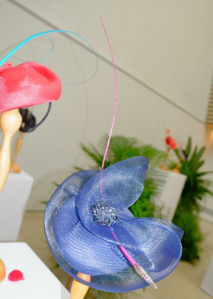 DSCF3757.jpg